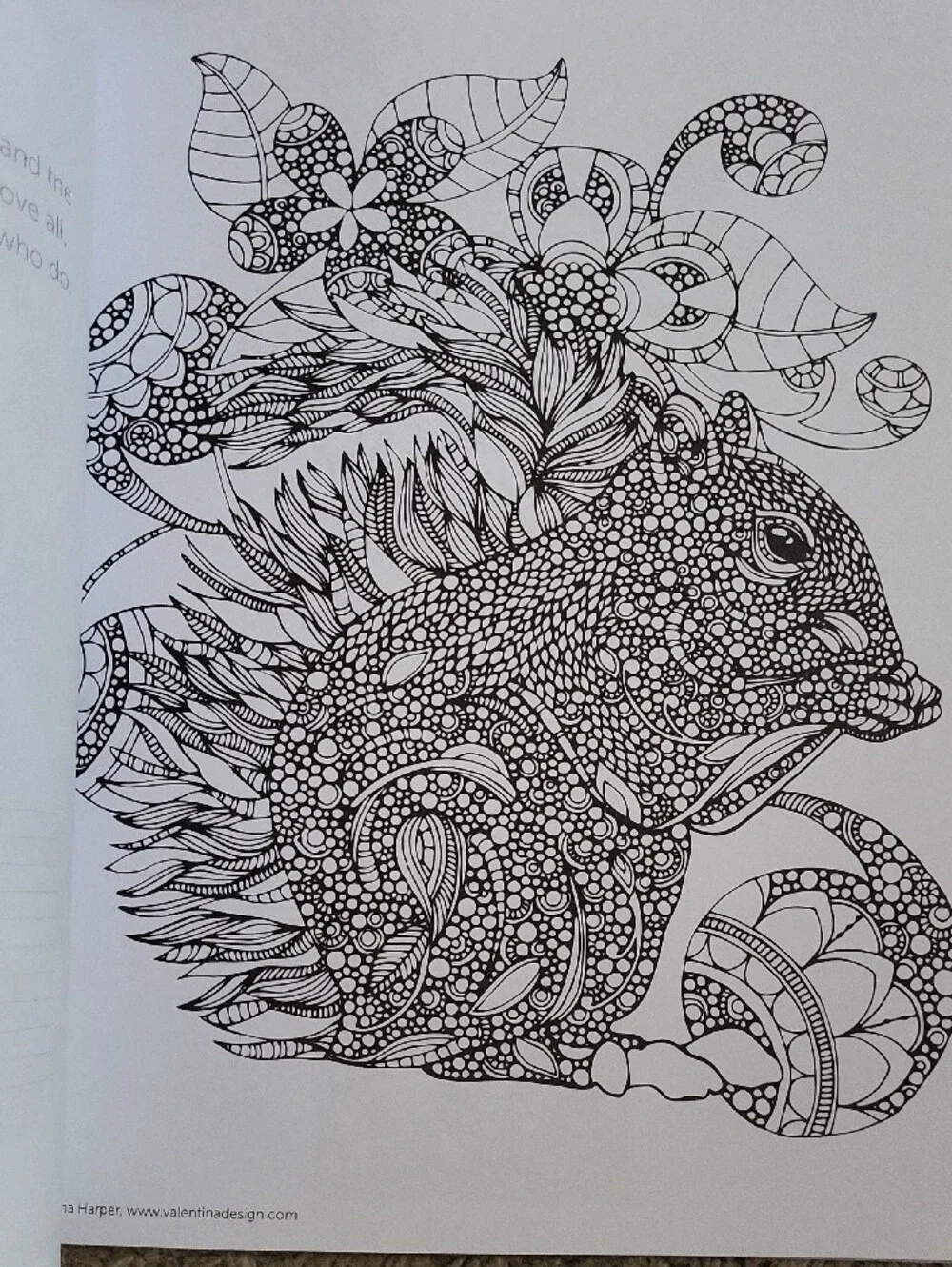 Designers Originals coloring books